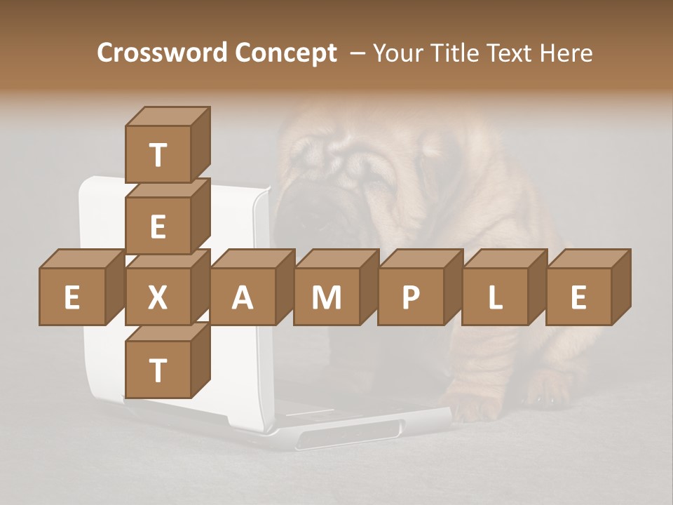 Animal Muzzle Beautiful PowerPoint Template