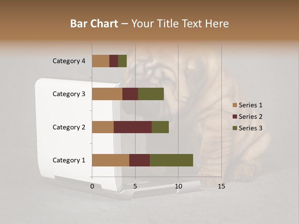 Animal Muzzle Beautiful PowerPoint Template