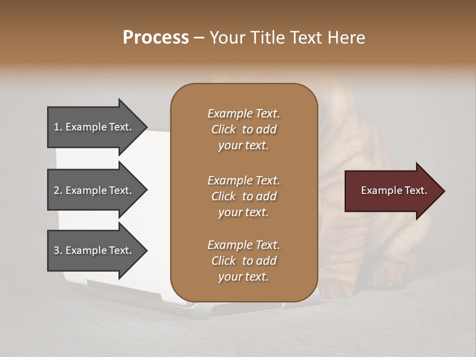 Animal Muzzle Beautiful PowerPoint Template