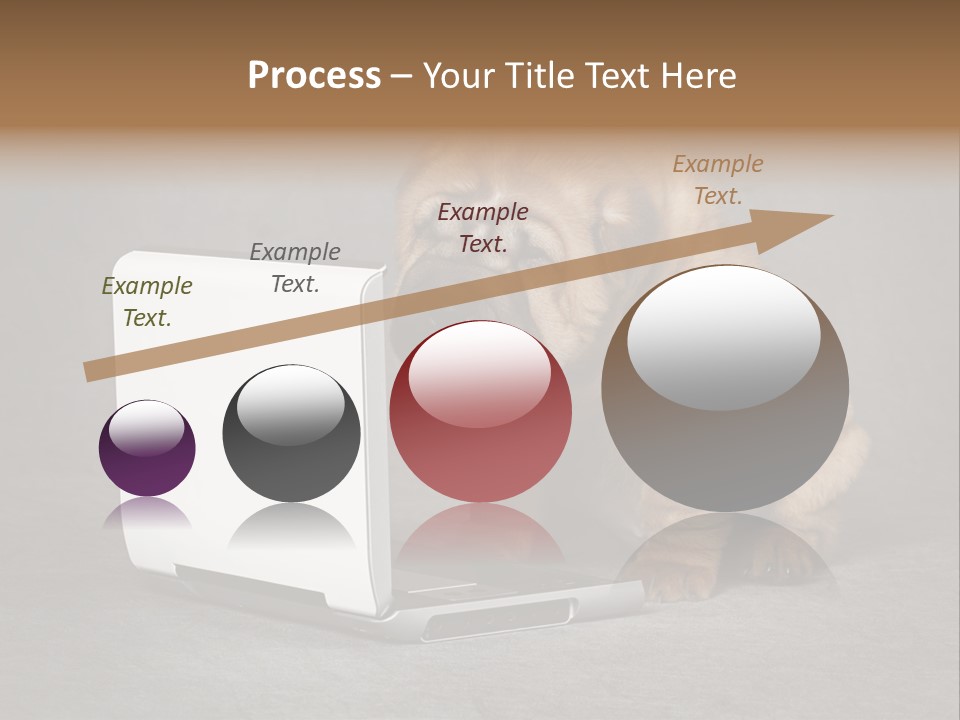 Animal Muzzle Beautiful PowerPoint Template