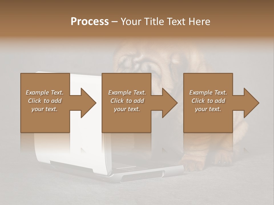 Animal Muzzle Beautiful PowerPoint Template