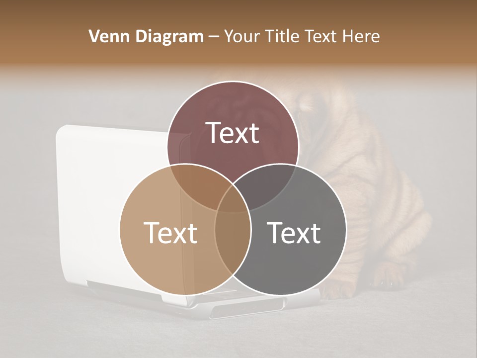 Animal Muzzle Beautiful PowerPoint Template