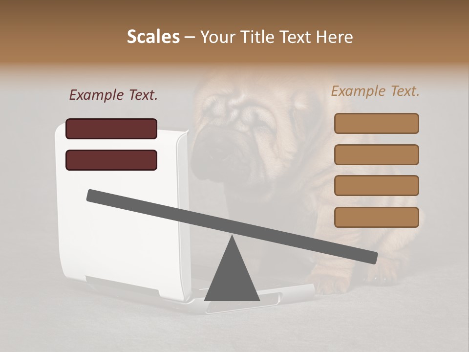 Animal Muzzle Beautiful PowerPoint Template