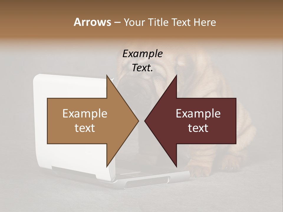 Animal Muzzle Beautiful PowerPoint Template