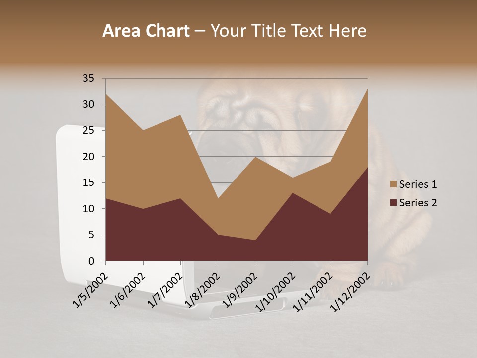 Animal Muzzle Beautiful PowerPoint Template
