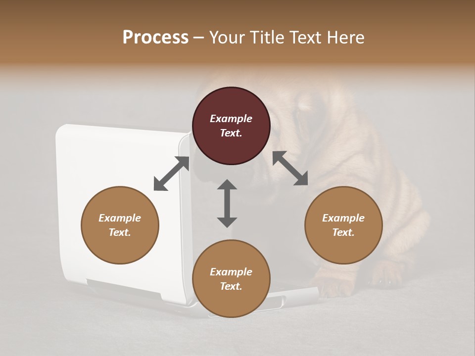 Animal Muzzle Beautiful PowerPoint Template