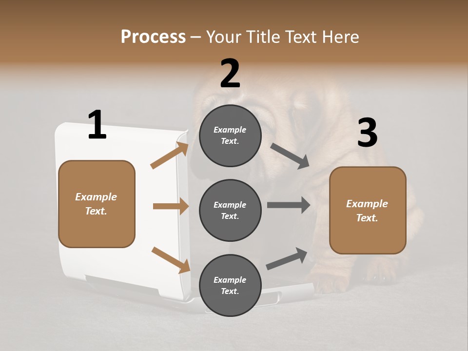 Animal Muzzle Beautiful PowerPoint Template