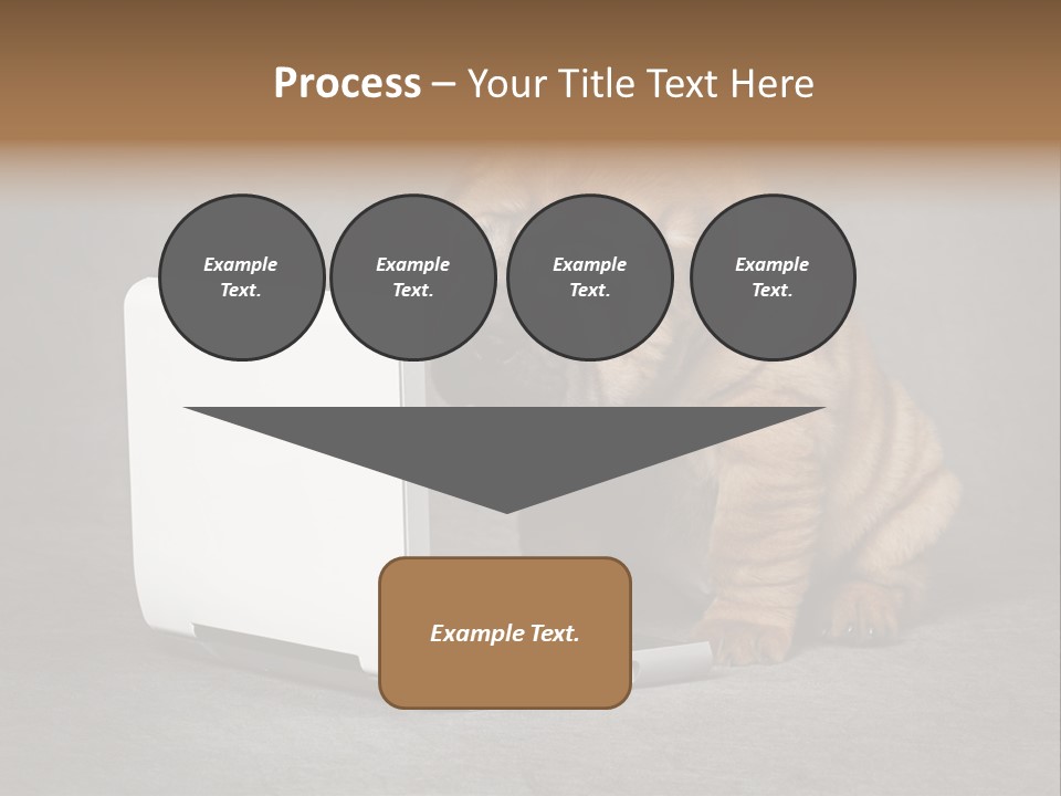 Animal Muzzle Beautiful PowerPoint Template