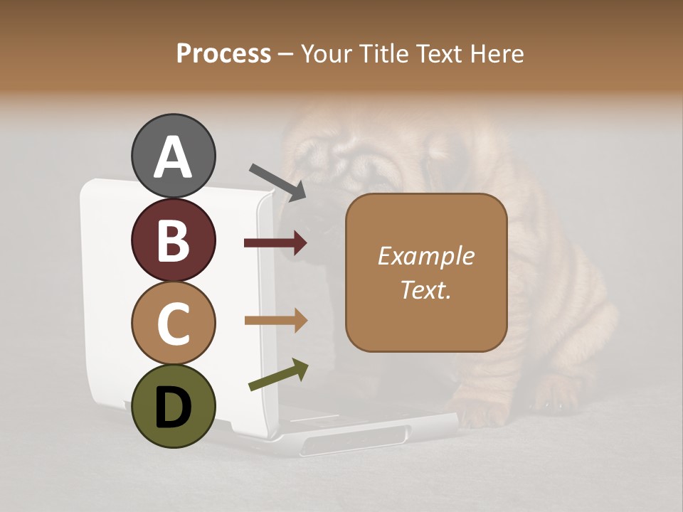 Animal Muzzle Beautiful PowerPoint Template
