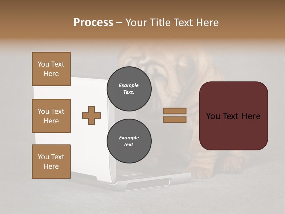Animal Muzzle Beautiful PowerPoint Template