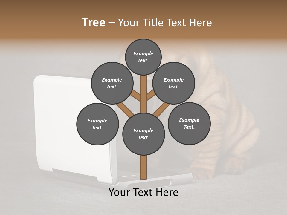 Animal Muzzle Beautiful PowerPoint Template