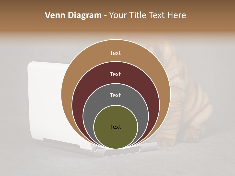 Animal Muzzle Beautiful PowerPoint Template