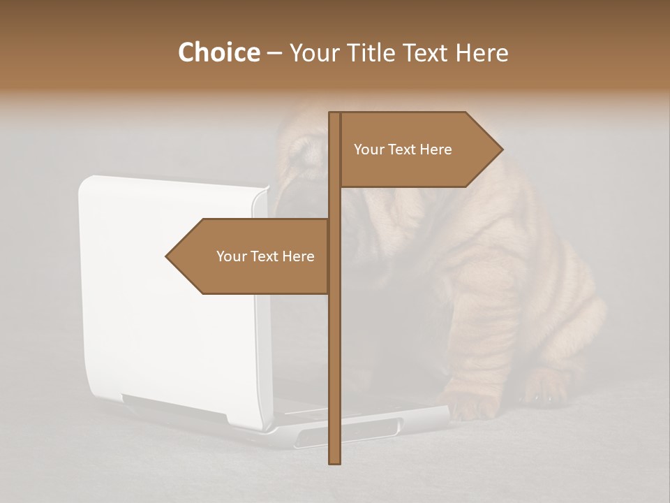 Animal Muzzle Beautiful PowerPoint Template