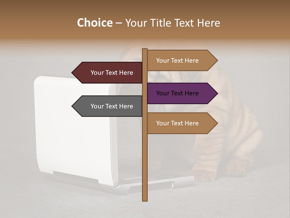 Animal Muzzle Beautiful PowerPoint Template
