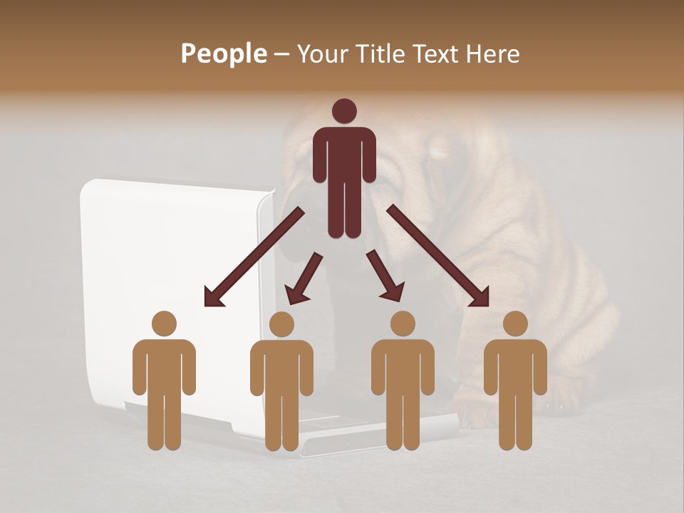 Animal Muzzle Beautiful PowerPoint Template