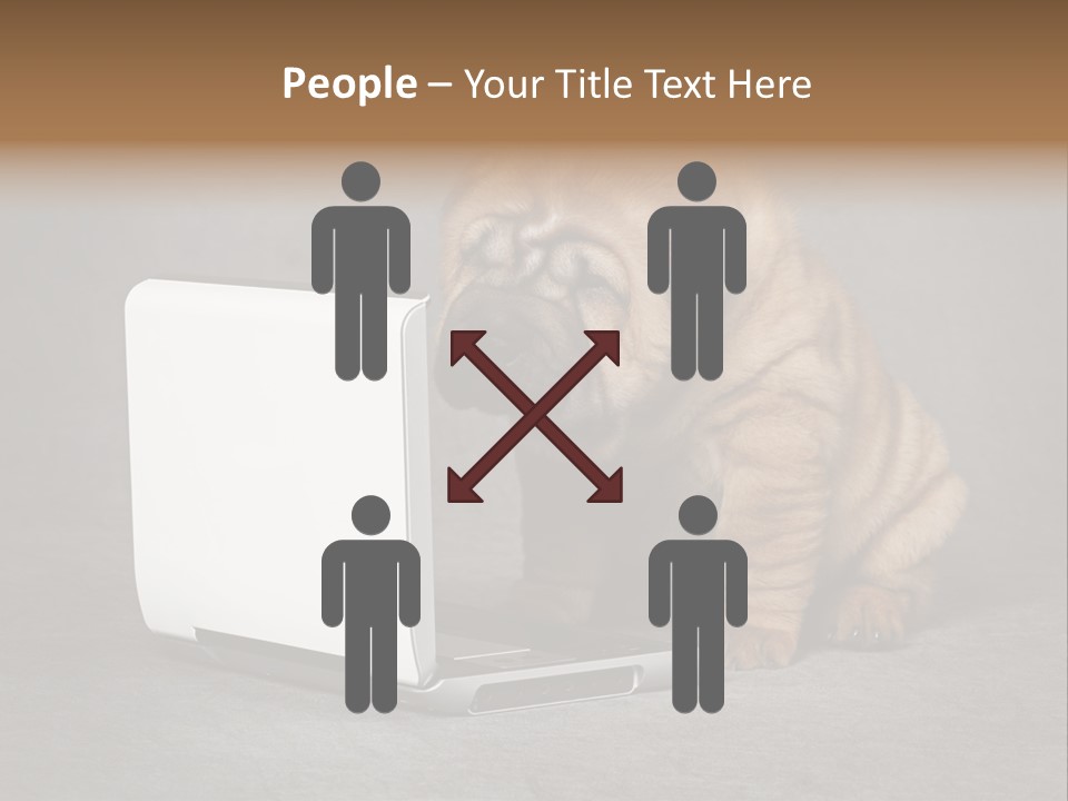 Animal Muzzle Beautiful PowerPoint Template