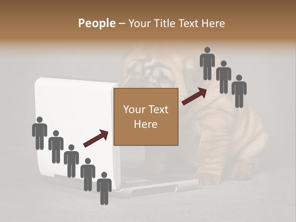 Animal Muzzle Beautiful PowerPoint Template