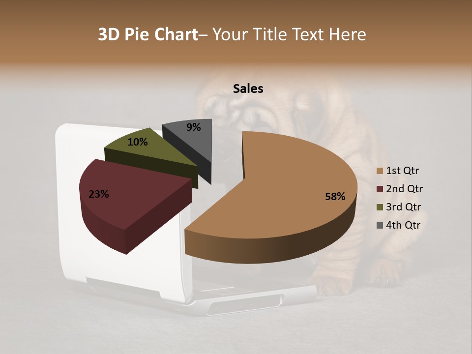 Animal Muzzle Beautiful PowerPoint Template