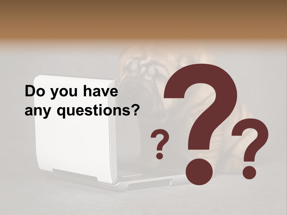 Animal Muzzle Beautiful PowerPoint Template