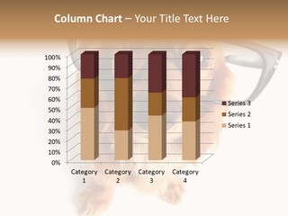 Wiener Dog Adorable Dog PowerPoint Template