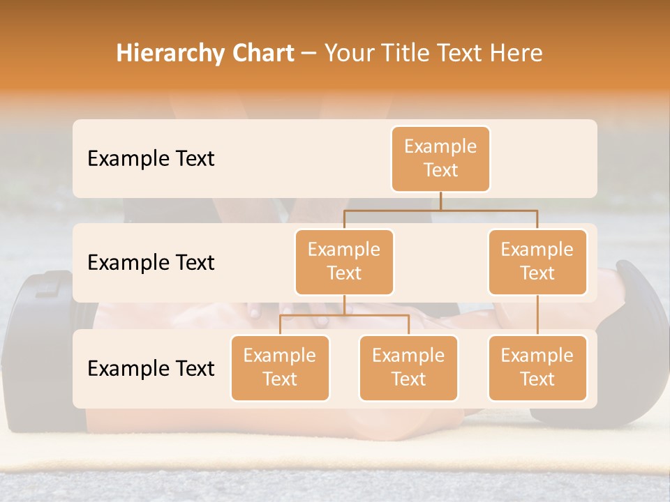 Torso Mannequin Learning PowerPoint Template