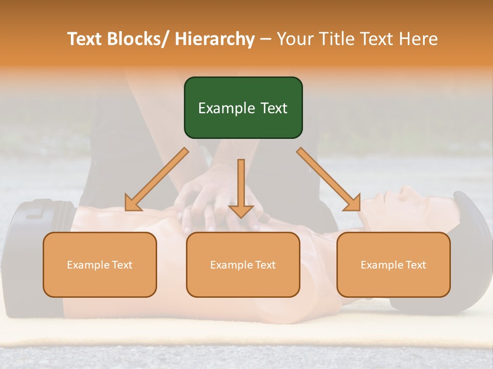 Torso Mannequin Learning PowerPoint Template