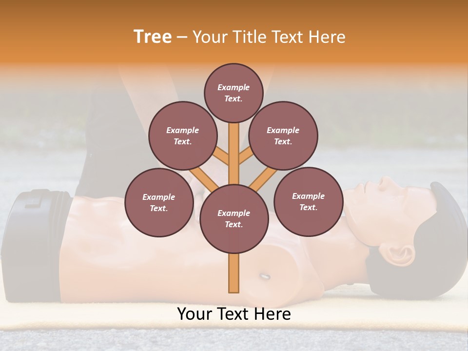 Torso Mannequin Learning PowerPoint Template