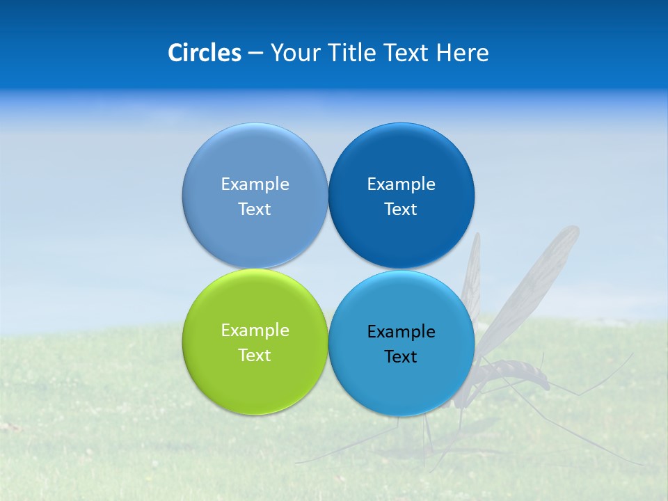 Thorn Night Transfer PowerPoint Template