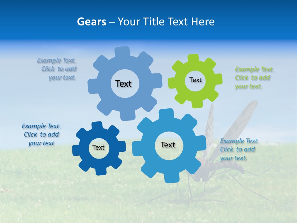 Thorn Night Transfer PowerPoint Template