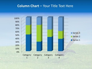 Thorn Night Transfer PowerPoint Template