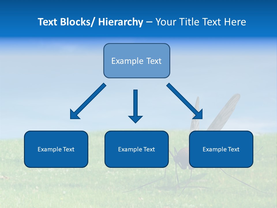 Thorn Night Transfer PowerPoint Template