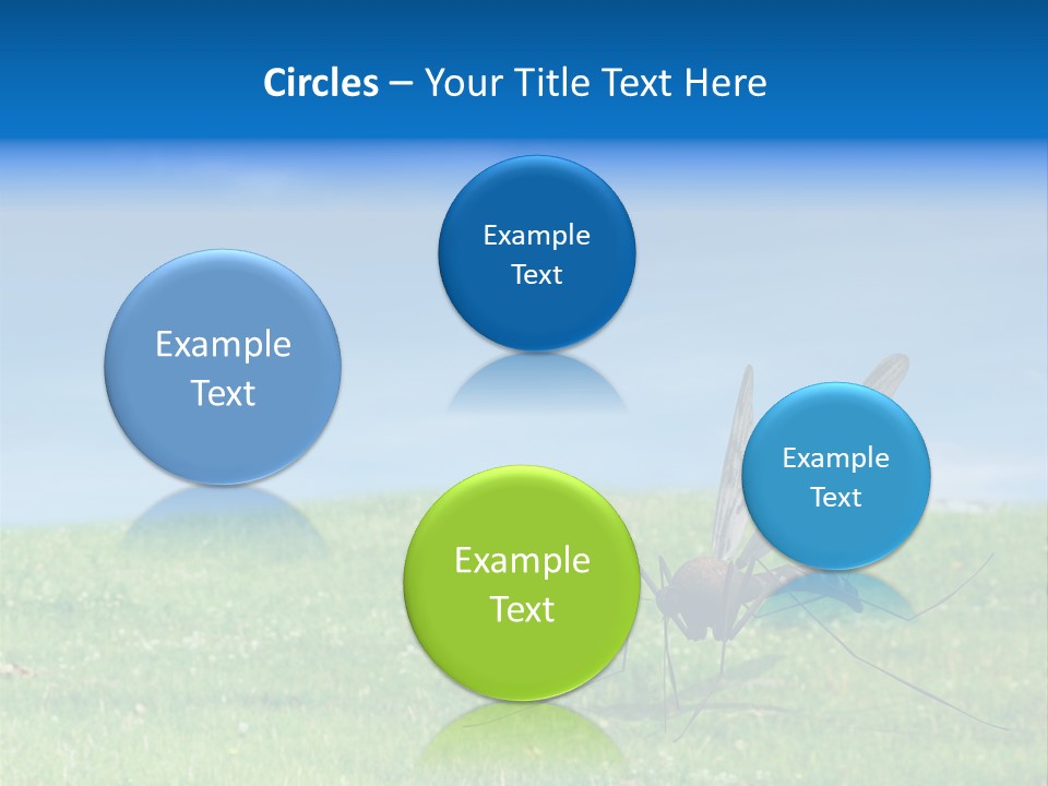 Thorn Night Transfer PowerPoint Template