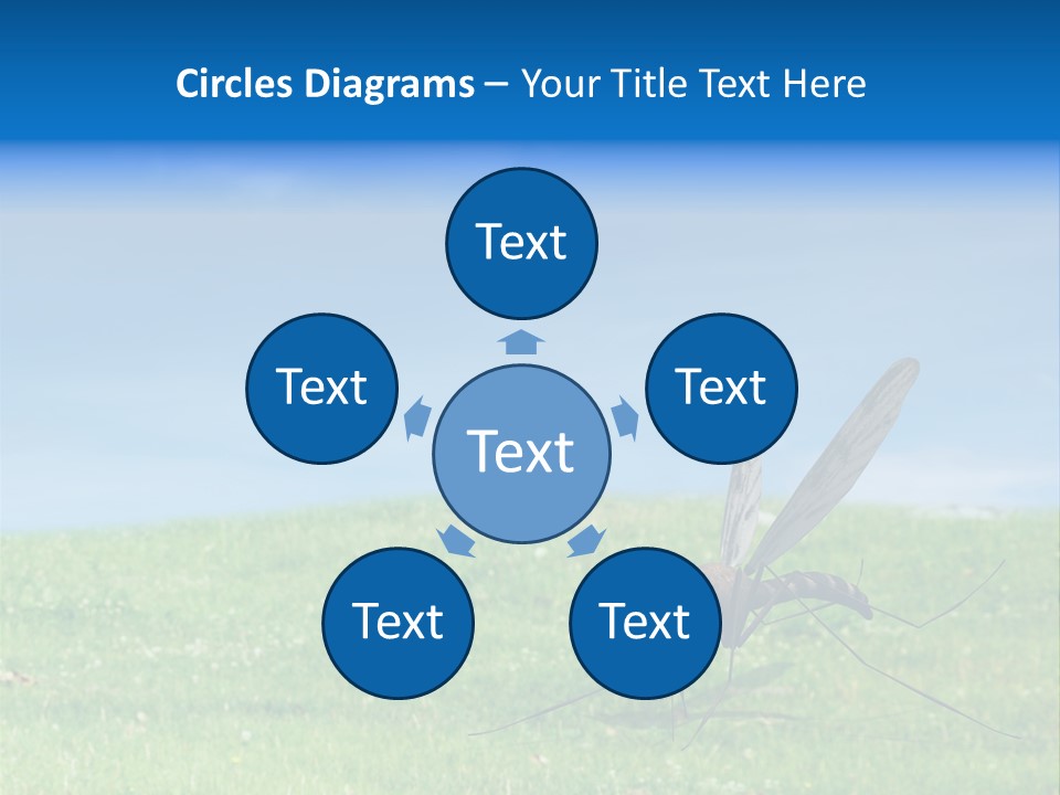 Thorn Night Transfer PowerPoint Template