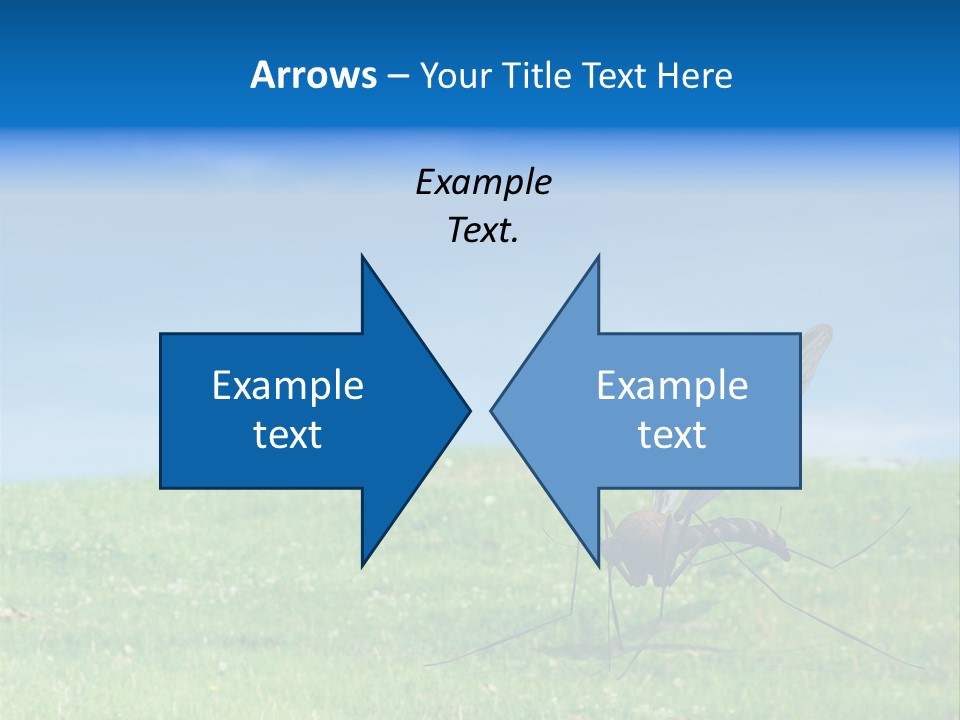 Thorn Night Transfer PowerPoint Template