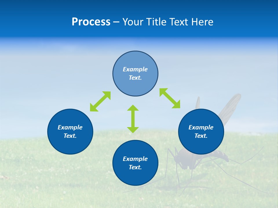 Thorn Night Transfer PowerPoint Template