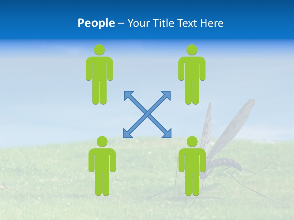 Thorn Night Transfer PowerPoint Template