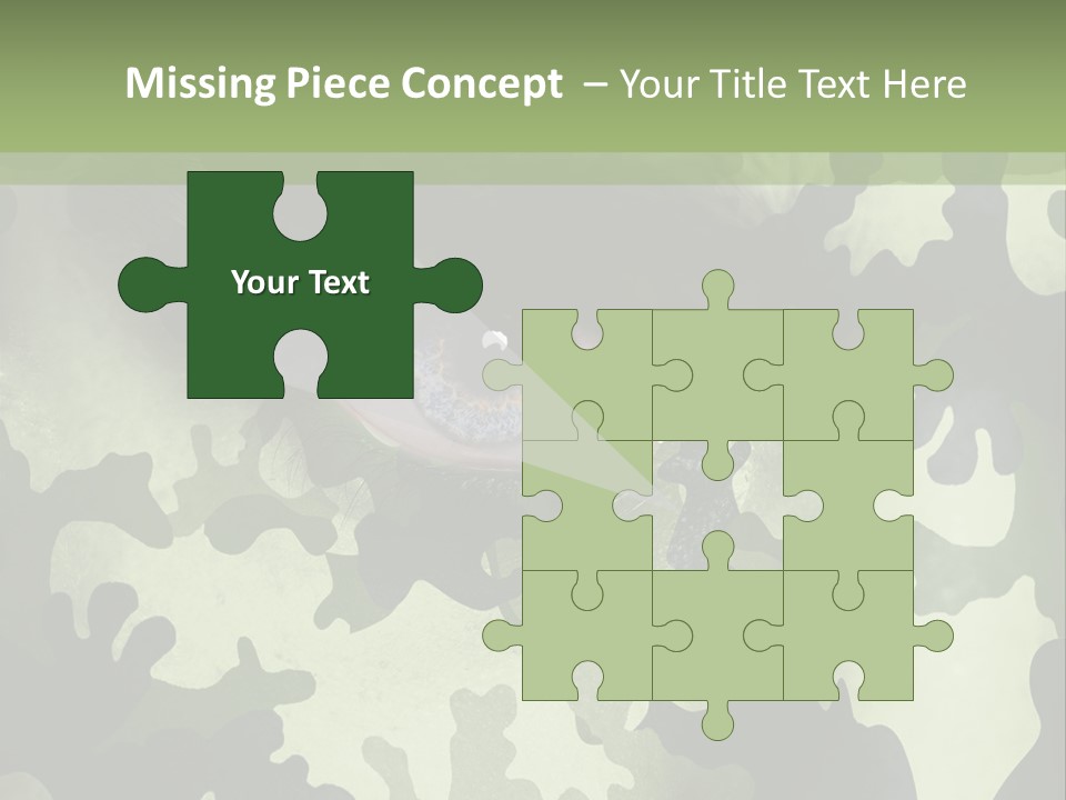 Corporate Toon Profe Ional PowerPoint Template