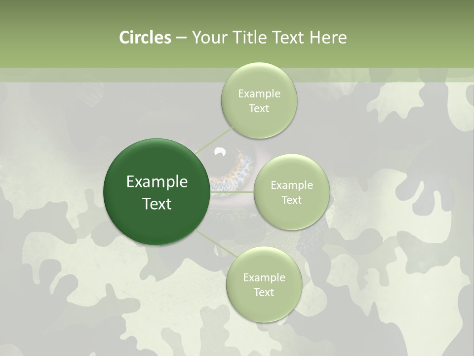 Corporate Toon Profe Ional PowerPoint Template