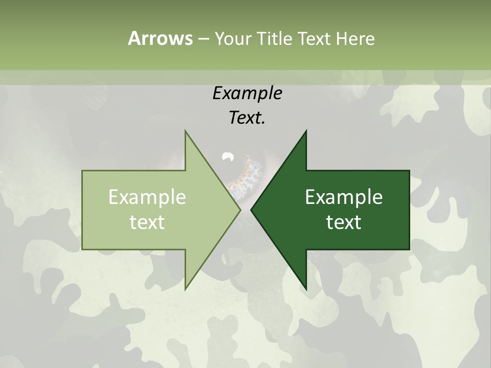 Corporate Toon Profe Ional PowerPoint Template