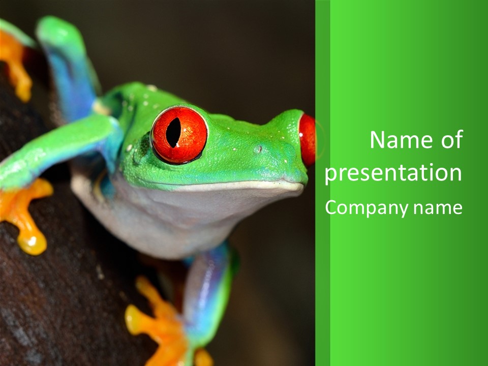 Tropical Macro Rainforest PowerPoint Template