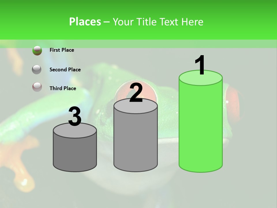 Tropical Macro Rainforest PowerPoint Template