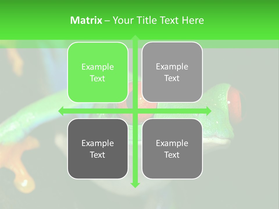 Tropical Macro Rainforest PowerPoint Template