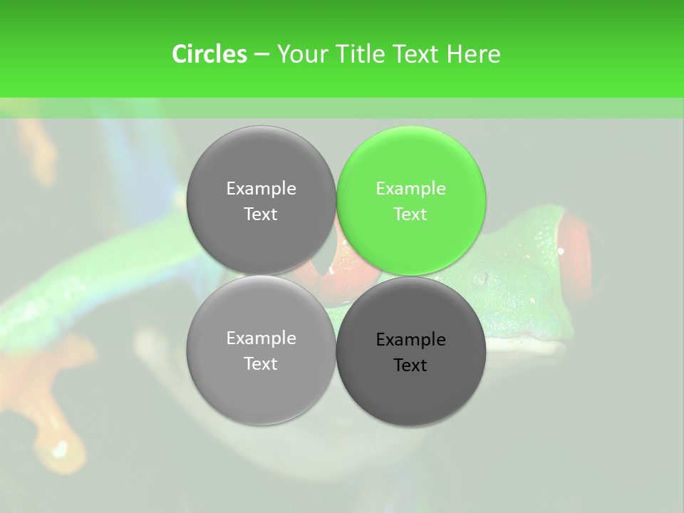 Tropical Macro Rainforest PowerPoint Template