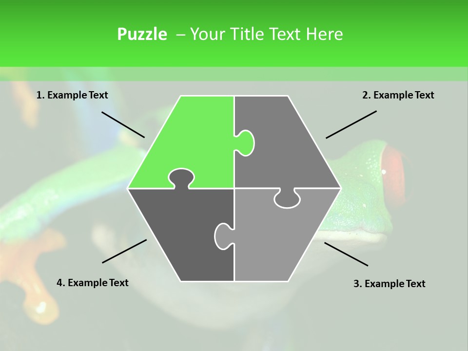 Tropical Macro Rainforest PowerPoint Template