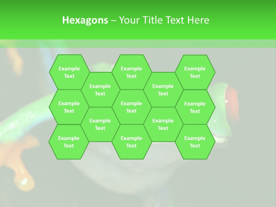 Tropical Macro Rainforest PowerPoint Template