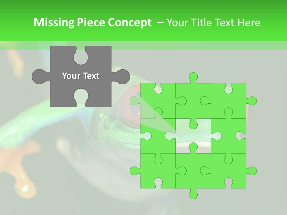 Tropical Macro Rainforest PowerPoint Template