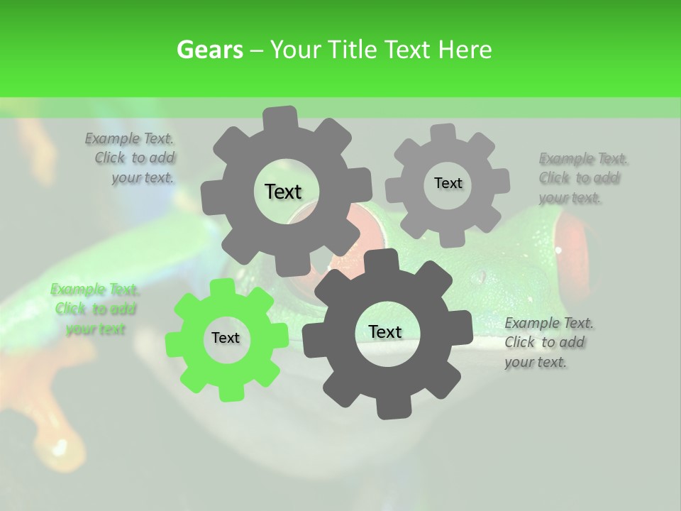 Tropical Macro Rainforest PowerPoint Template