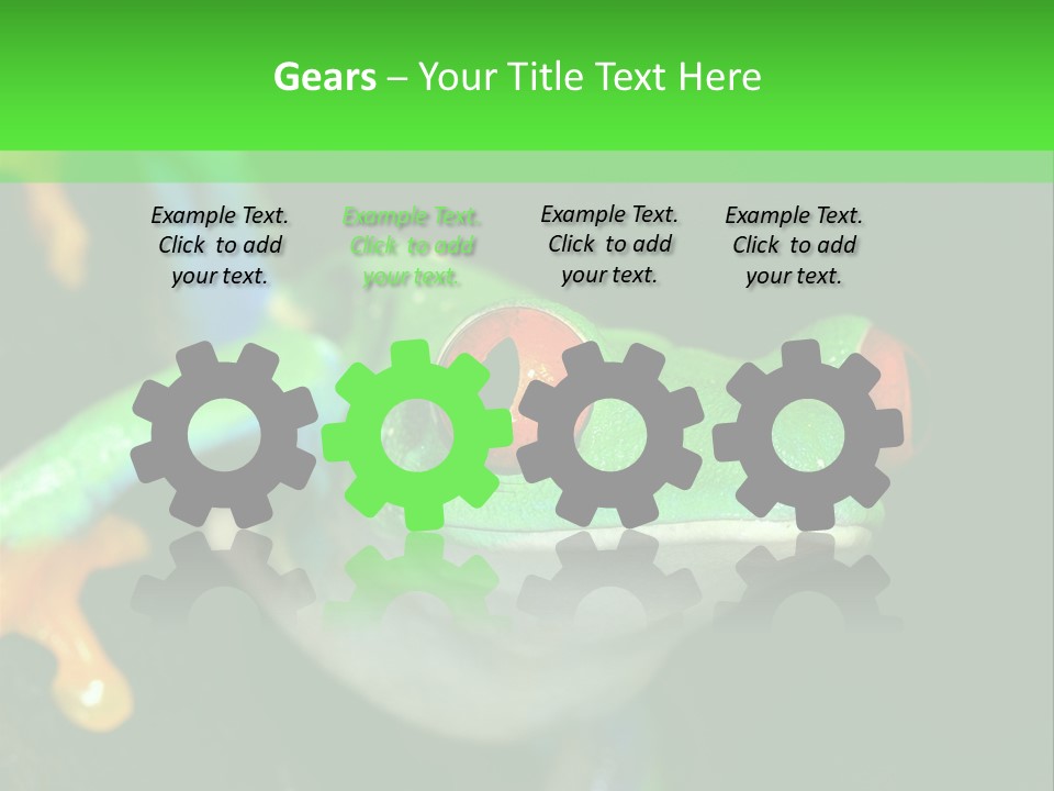 Tropical Macro Rainforest PowerPoint Template