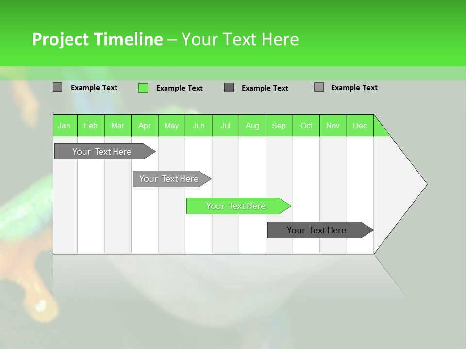 Tropical Macro Rainforest PowerPoint Template
