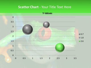 Tropical Macro Rainforest PowerPoint Template